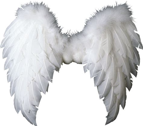 wings png transparent